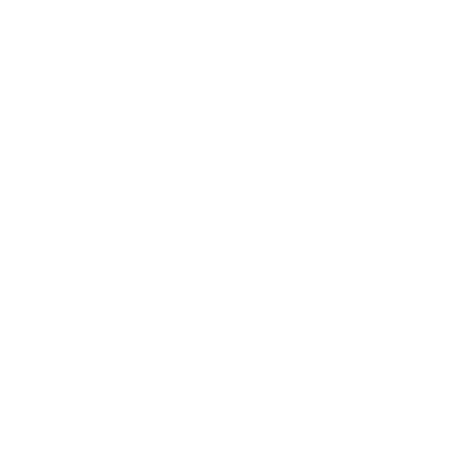 CV